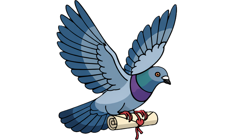 pigeon